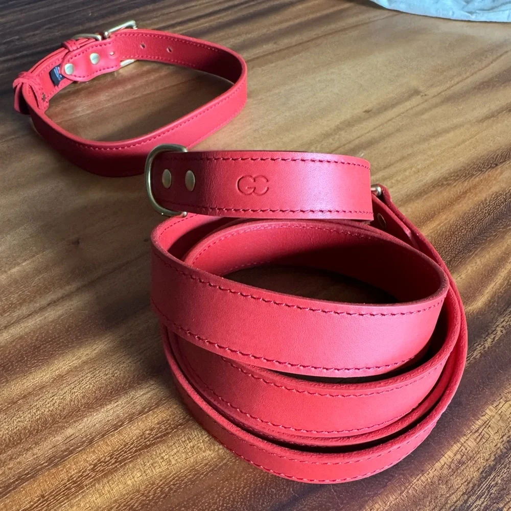 Collar and leash set from Genuine Canine